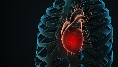 Scientists Say This Simple Supplement May Actually Reverse Heart Disease