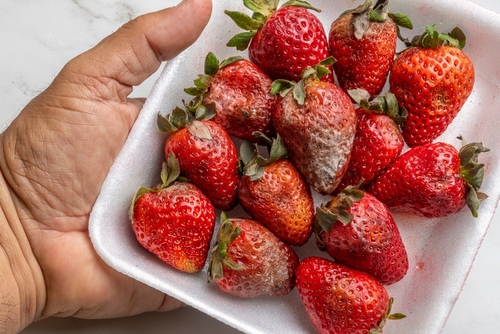 Cutting Mold Off Fresh Produce Won’t Make It Safe, New Research Warns